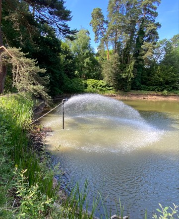 Water Fan